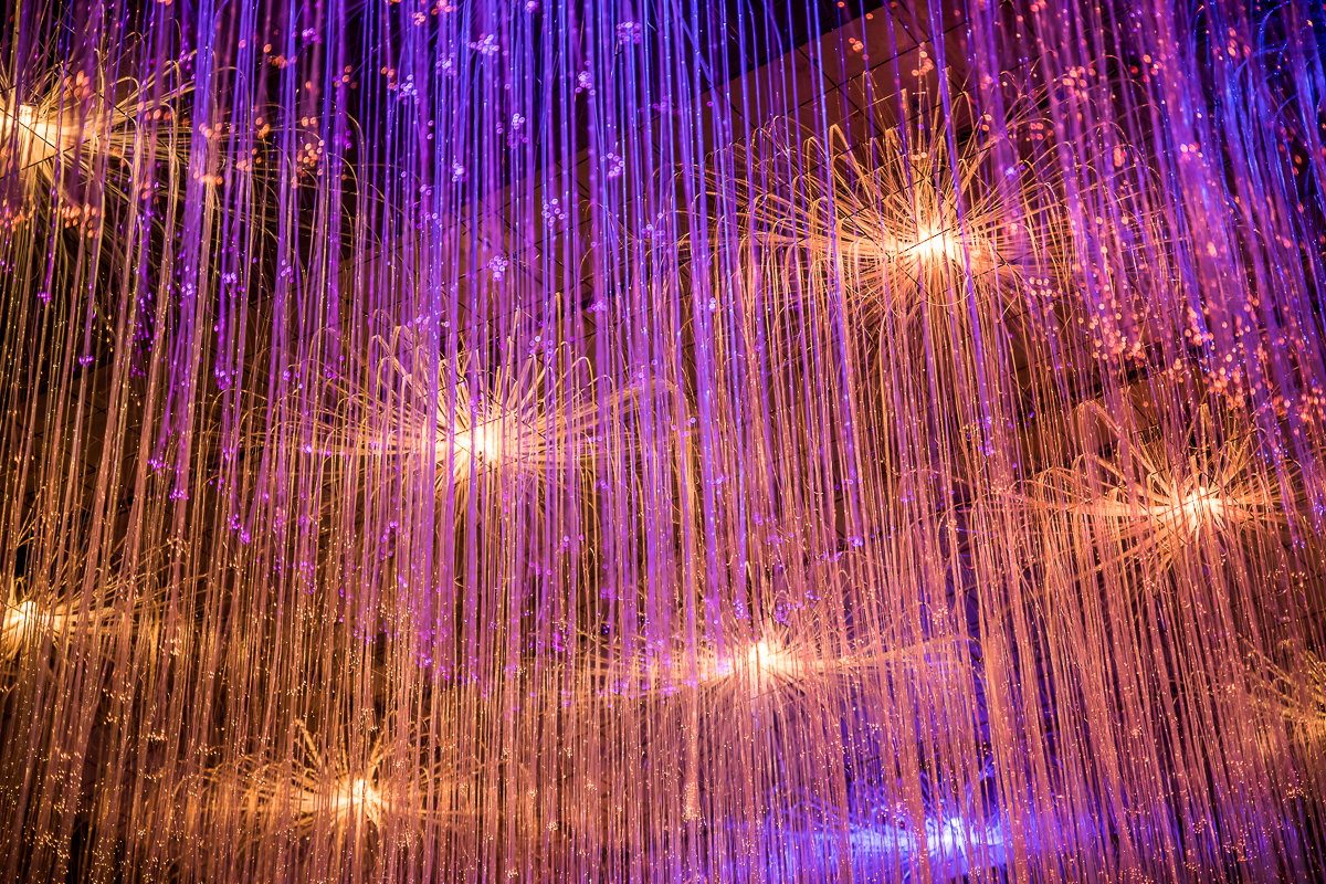 물결 천장 조명 전경 — moon115 카페