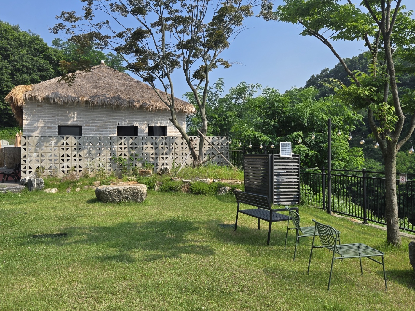 넓은 앞마당 잔디밭