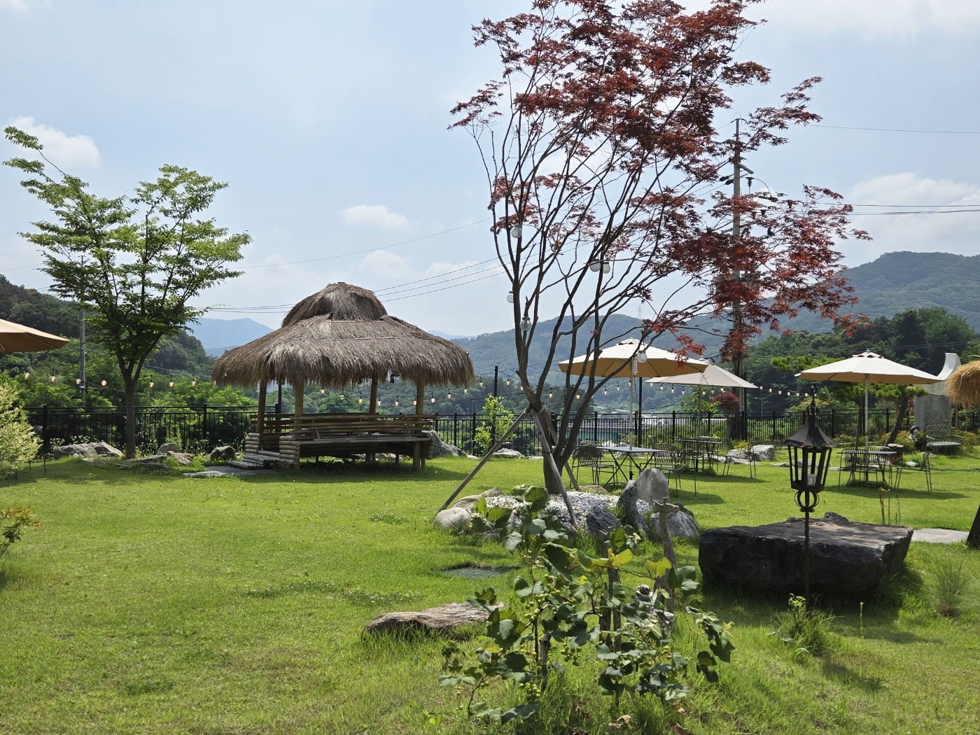 앞마당 잔디밭 풍경