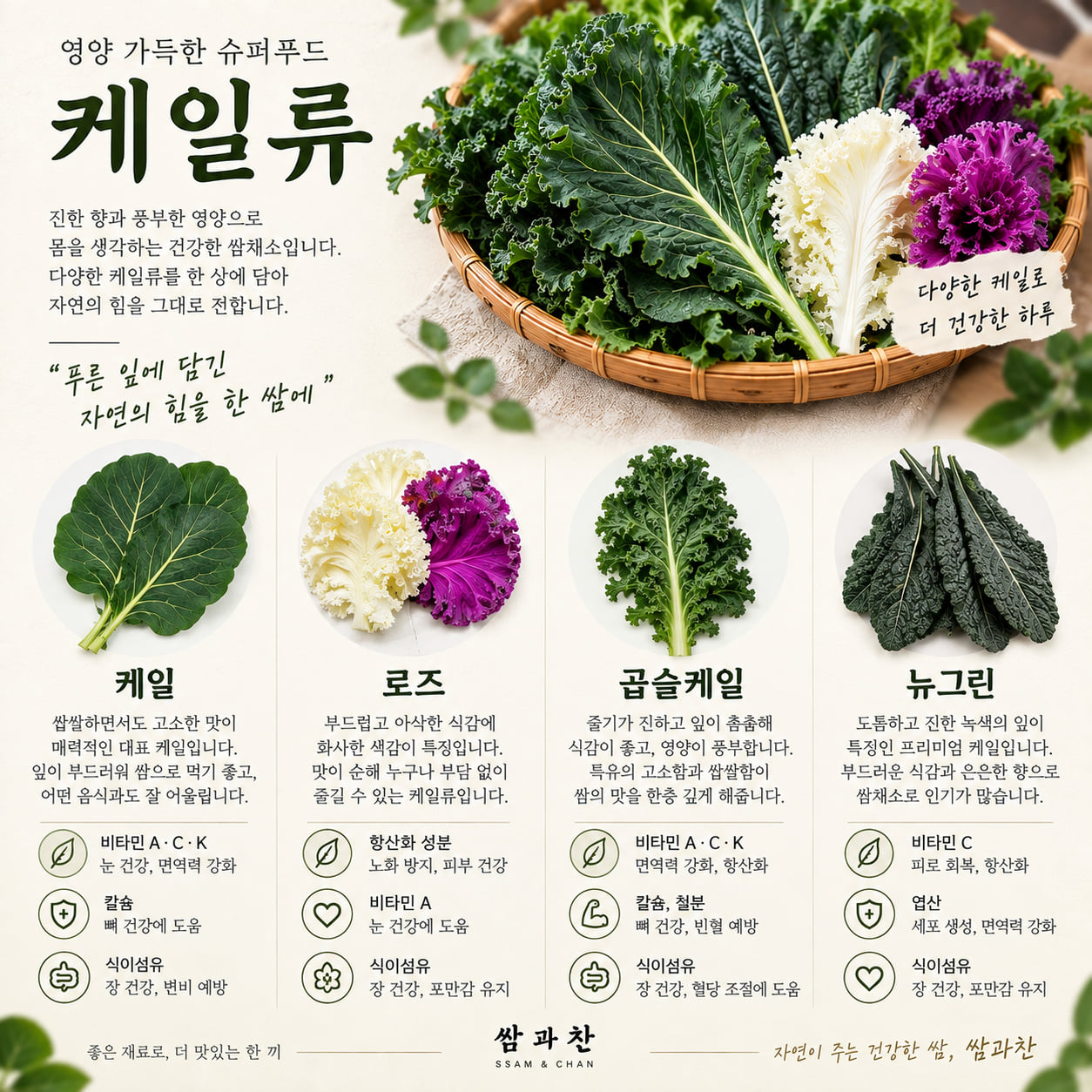 쌈과찬 케일류 쌈채소 안내 — 케일, 로즈, 곱슬케일, 뉴그린