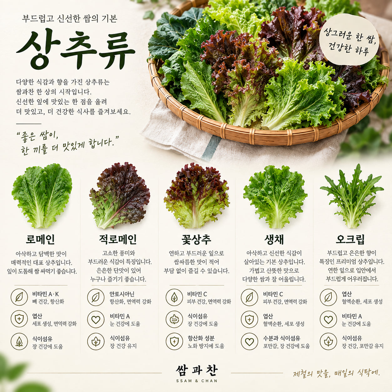 쌈과찬 상추류 쌈채소 안내 — 로메인, 적로메인, 꽃상추, 생채, 오크립